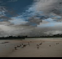 Hardwicke Bay - Inverell Accommodation