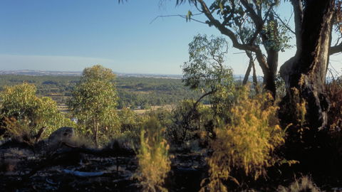 Heathcote-Graytown National Park - Inverell Accommodation 0