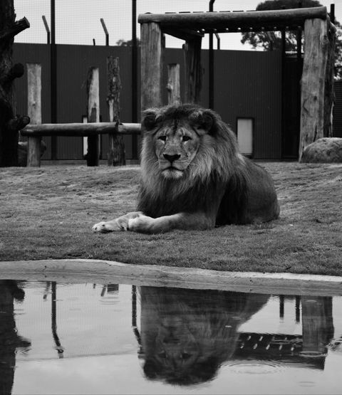 Hunter Valley Zoo - Inverell Accommodation 0