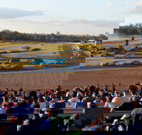 Ipswich Motorsport Precinct - Inverell Accommodation