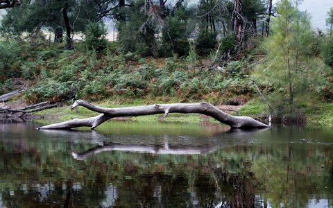 Kayaking Upper Tuross River And Bumbo Lake - Inverell Accommodation 0