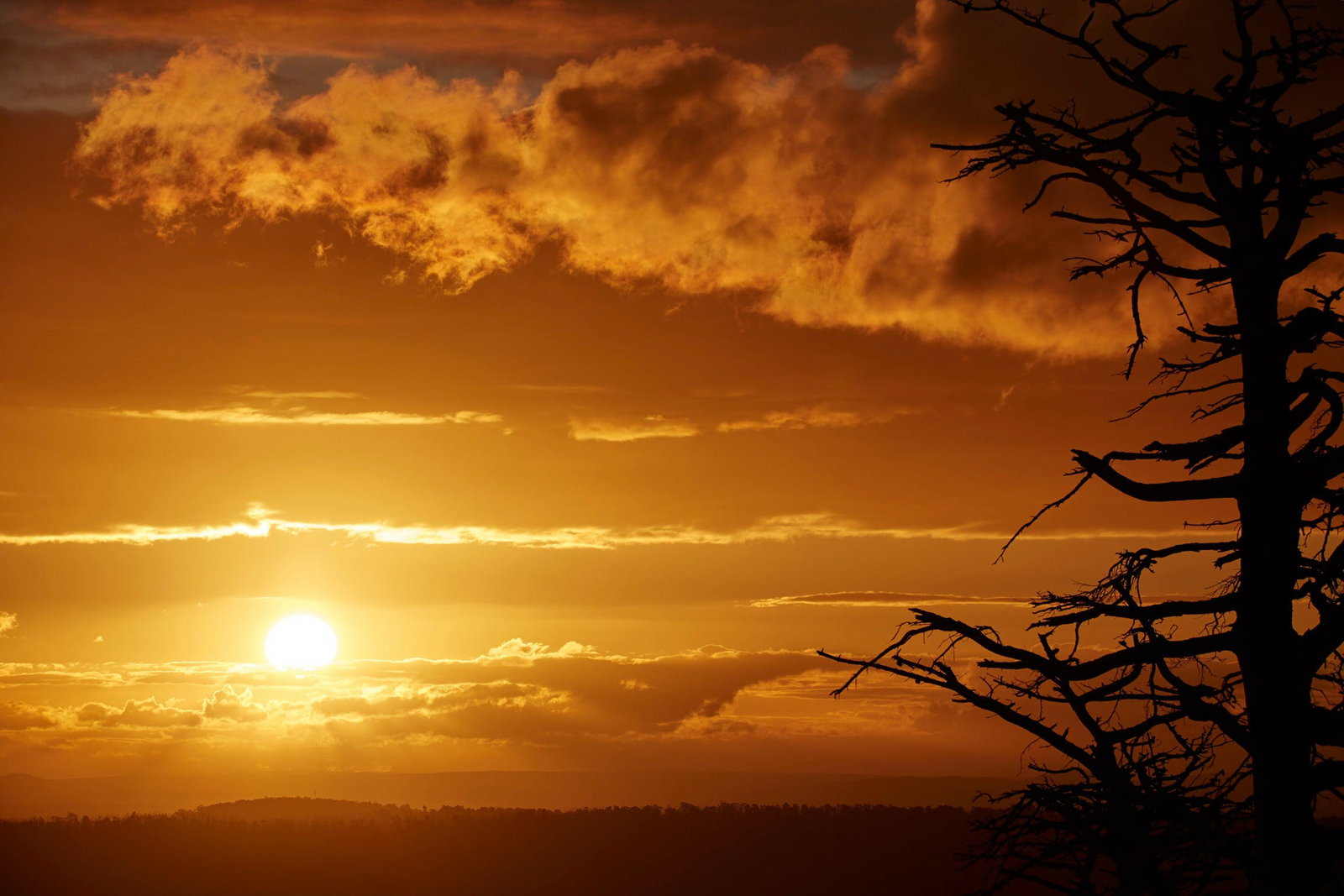 Kinglake Central VIC Inverell Accommodation