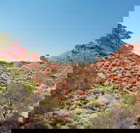 Lark Quarry Conservation Park - Inverell Accommodation