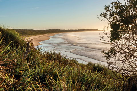 Murramarang National Park - Inverell Accommodation 0
