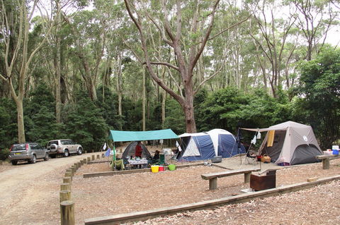 Murramarang National Park - Inverell Accommodation 2