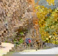 Old Great North Road - World Heritage Walk - Inverell Accommodation