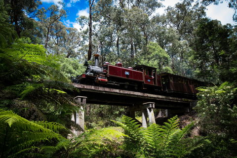 Puffing Billy Railway - Inverell Accommodation 0