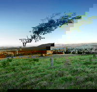 Ravensbourne National Park - Inverell Accommodation