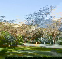 Red Cedar Flat Picnic Area - Inverell Accommodation