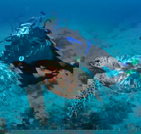 Second Reef Dive Site - Inverell Accommodation