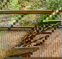 Somersby Falls walking track - Inverell Accommodation