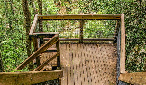 Somersby Falls Walking Track - Inverell Accommodation 0