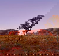 Sunrise Viewing Area Talinguru Nyakunytjaku - Inverell Accommodation