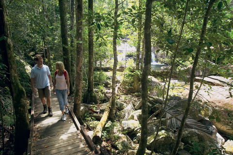 The Pioneer Valley And Eungella National Park - Inverell Accommodation 1