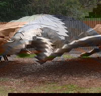 Underwater Marine Sculptures - Inverell Accommodation