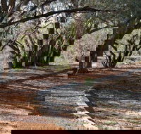 Warrego Floodplain walking track - Inverell Accommodation