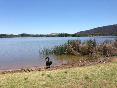 Yarralumla Bay - Inverell Accommodation 0