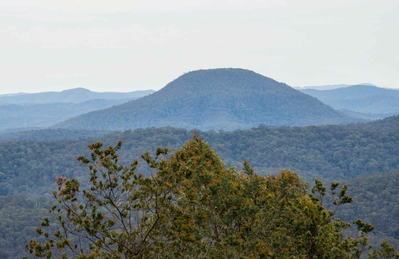 Paxton ACT Inverell Accommodation