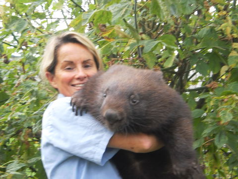 Birdland Animal Park - Inverell Accommodation 2