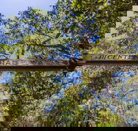 Bribie Island Bicentennial Trails - Inverell Accommodation