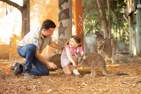 Dreamworld - Inverell Accommodation 2