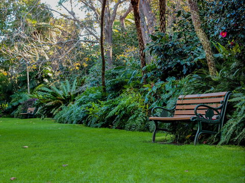EG Waterhouse National Camellia Gardens - Inverell Accommodation 0