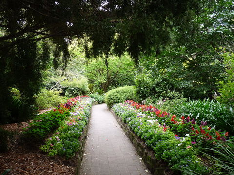 EG Waterhouse National Camellia Gardens - Inverell Accommodation 1