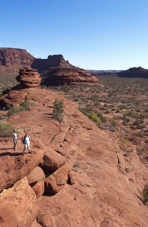Finke Gorge National Park - Inverell Accommodation 0