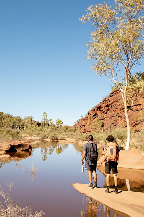 Finke Gorge National Park - Inverell Accommodation 2