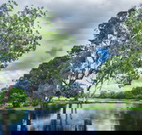 Gold Coast Regional Botanic Gardens - Inverell Accommodation