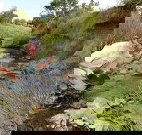 Gold Panning Deep Creek - Inverell Accommodation