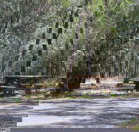 Goonoowigall State Conservation Area - Inverell Accommodation