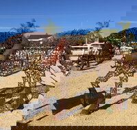 Gundersen Reserve - Inverell Accommodation