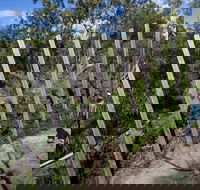 Herring Island Environmental Sculpture Park - Inverell Accommodation