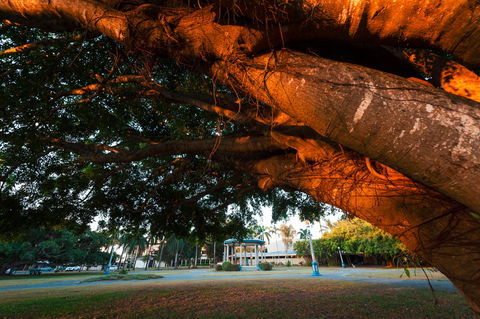 Jubilee Park, Mackay - Inverell Accommodation 0