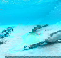 Jurien Bay - Inverell Accommodation
