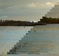 Lake Inverell Reserve - Inverell Accommodation