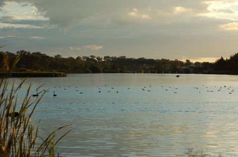Lake Inverell Reserve - Inverell Accommodation 0