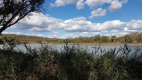 Lake Inverell Reserve - Inverell Accommodation 1