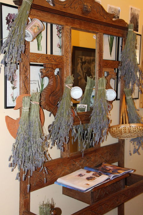 Lavender House In Railway Park - Inverell Accommodation 1
