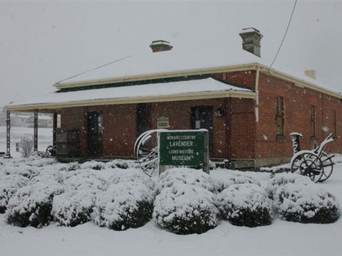 Lavender House In Railway Park - Inverell Accommodation 2
