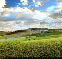 Lions Park Hodgson Vale - Inverell Accommodation