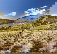 Little Mountain Walking Track - Inverell Accommodation