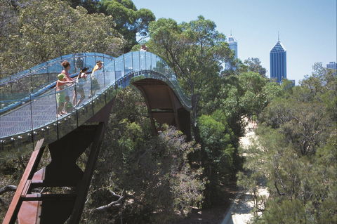Lotterywest Federation Walkway - Kings Park - Inverell Accommodation 1