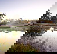 McClelland Sculpture Park  Gallery - Inverell Accommodation