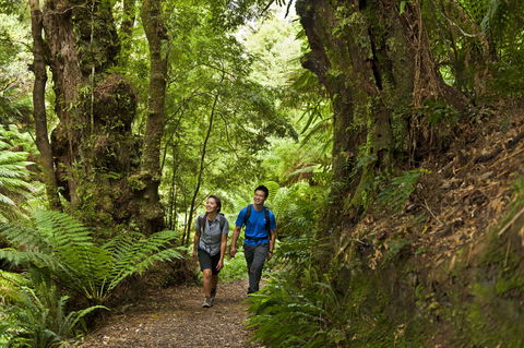 Melba Gully - Inverell Accommodation 0