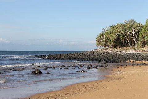Mon Repos Beach - Inverell Accommodation 2