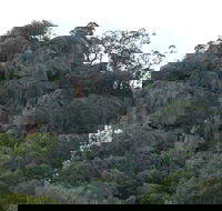 Mount Yarrowyck Nature Reserve - Inverell Accommodation