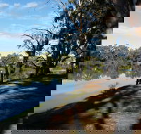 Murray River National Park - Katarapko - Inverell Accommodation