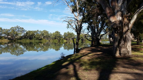 Murray River National Park - Katarapko - Inverell Accommodation 0
